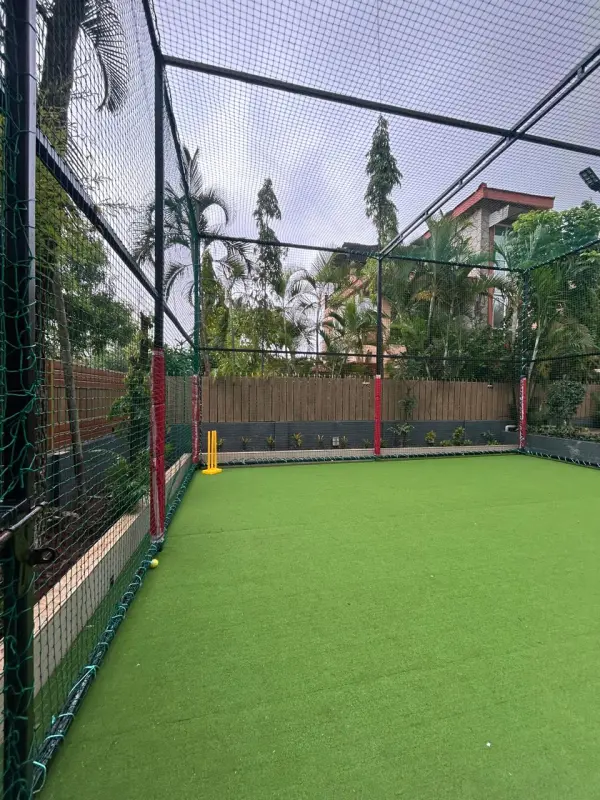 Open cricket turf with netting and palm trees - Misty Palace Villa, Lonavala